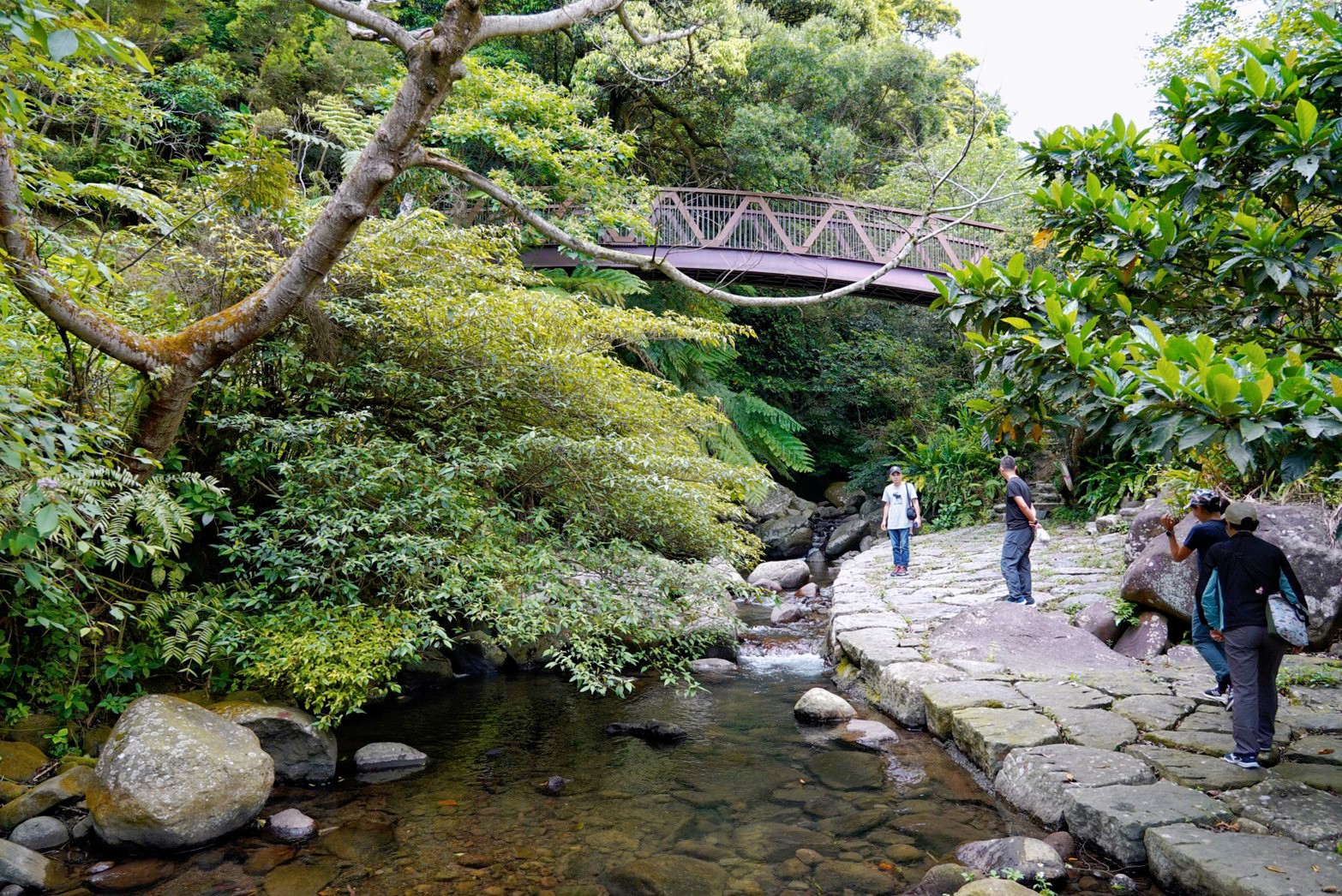 福田園休閒農場x楓咖啡