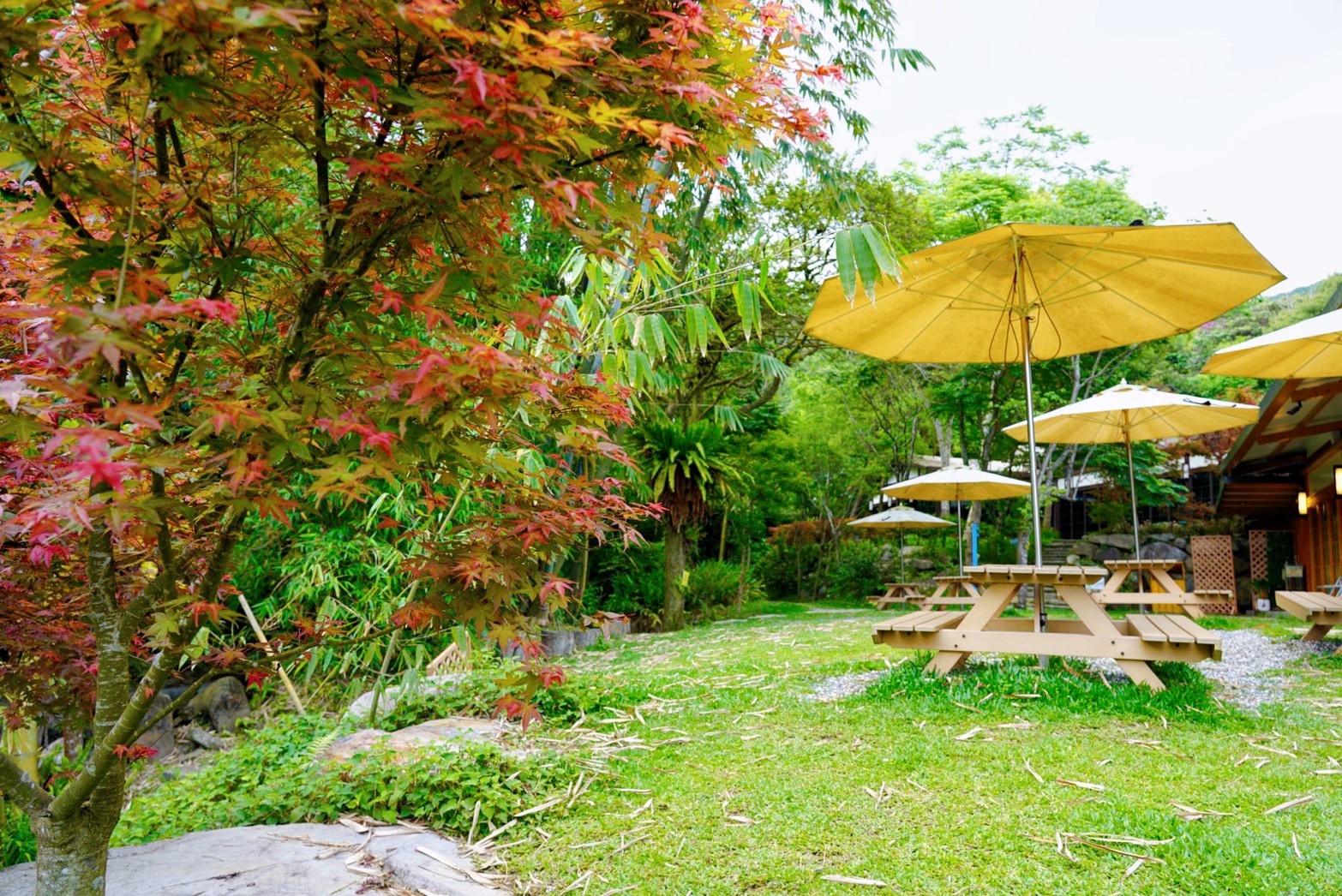 臺北景點,臺北美食,咖啡館,溪水,賞楓,氣泡飲,福田園休閒農(nóng)場x楓咖啡,福田園休閒農(nóng)場,楓咖啡