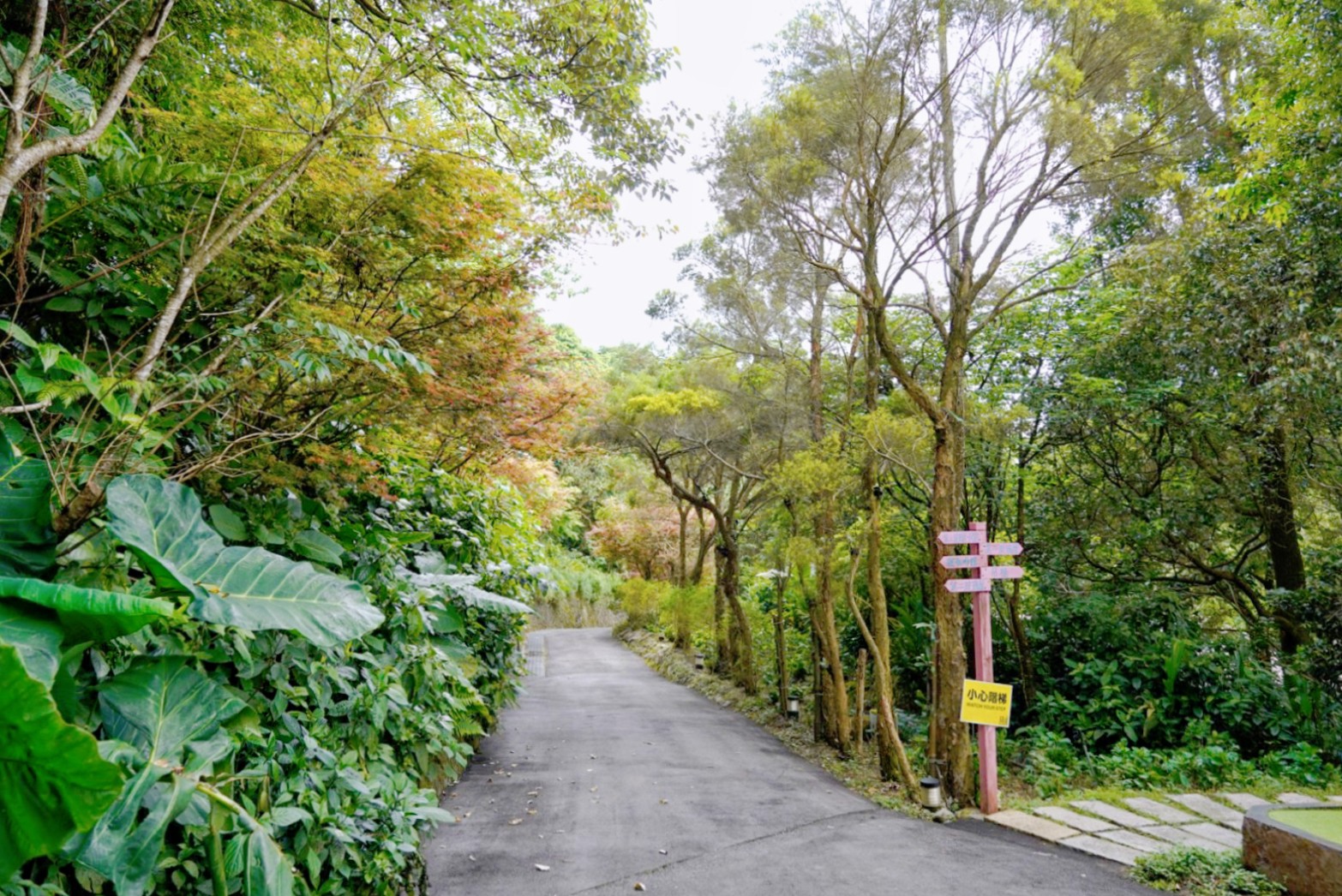 福田園休閒農場x楓咖啡