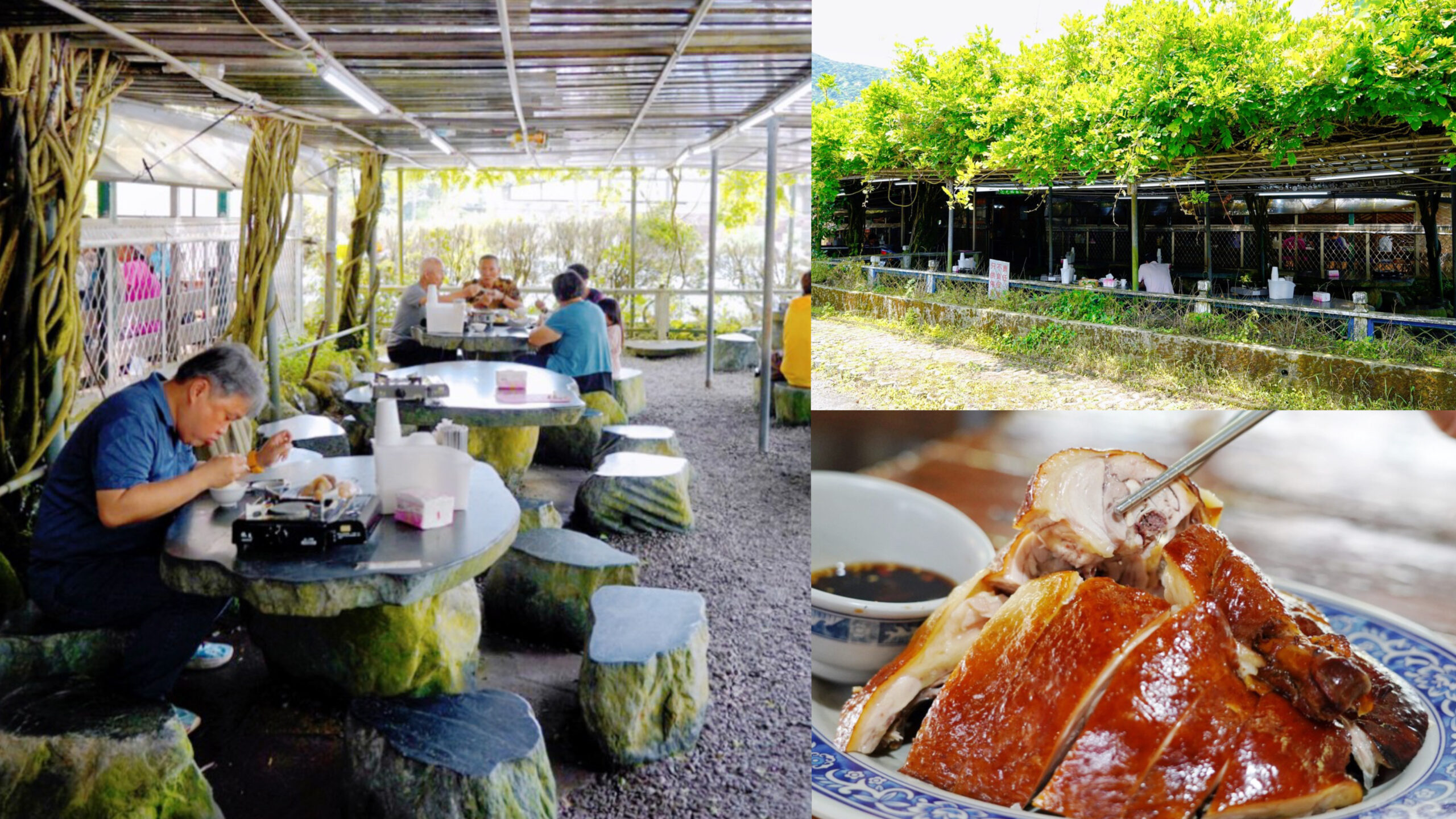 臺(tái)北餐廳,吉園葡花園野菜餐廳,新北餐廳,白斬雞,竹子湖餐廳,野菜,陽(yáng)明山餐廳 @艾瑪  吃喝玩樂(lè)札記