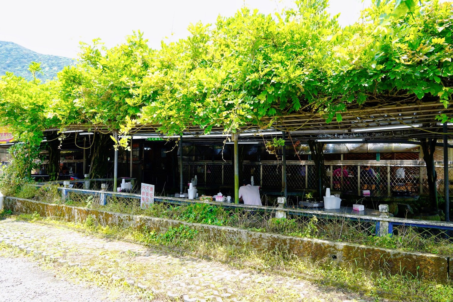 吉園葡花園野菜餐廳