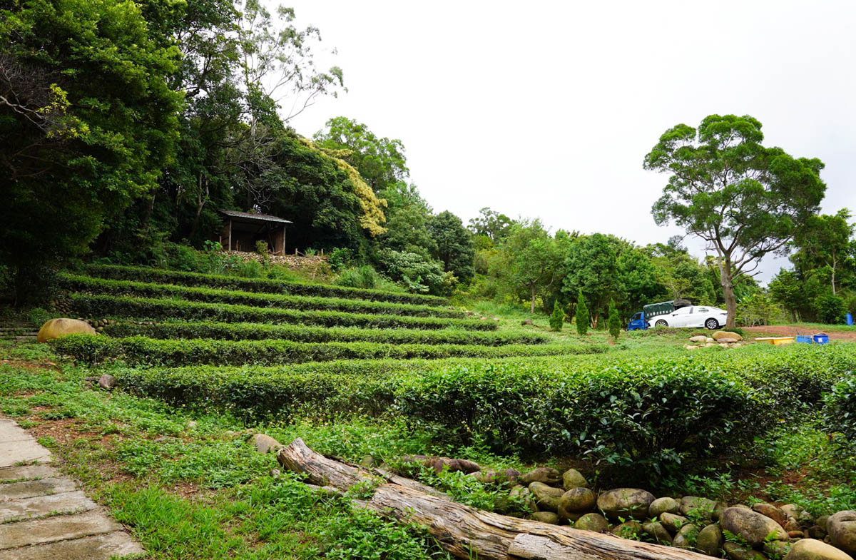 DIY手工捏陶,二坪寮,免費景點,和窯文創園區,咖啡,桃園景點,泡茶,神農窯烤麵包,窯烤麵包,茶席,賞茶園,龍潭景點