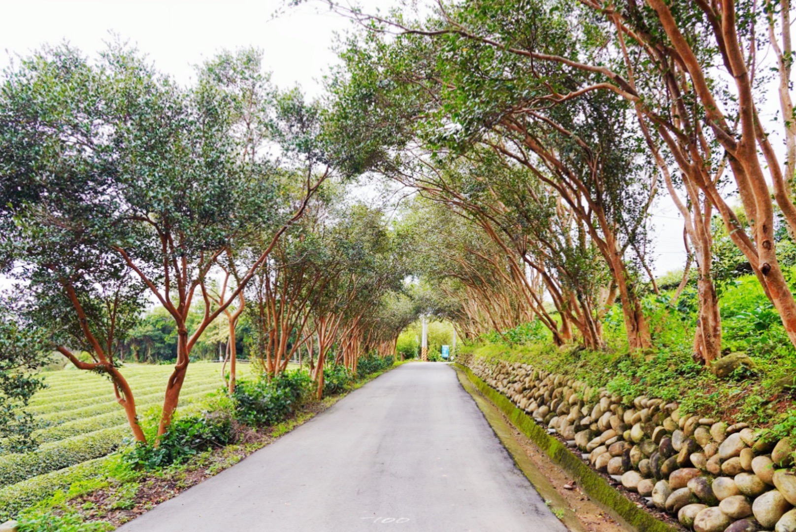 DIY手工捏陶,二坪寮,免費景點,和窯文創園區,咖啡,桃園景點,泡茶,神農窯烤麵包,窯烤麵包,茶席,賞茶園,龍潭景點