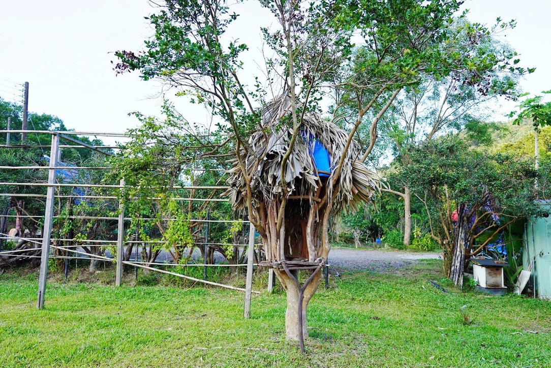 關西仙草博物館