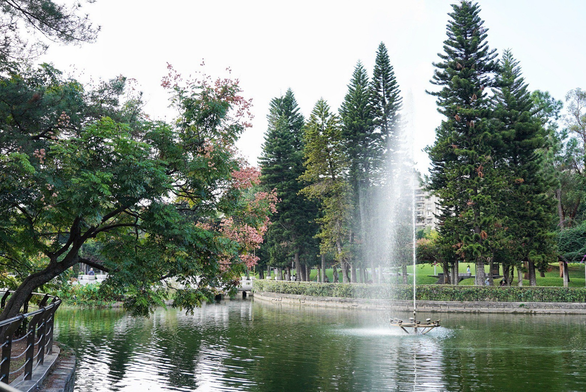 新北景點,免費景點,公園,新北公園,青年公園,親子景點,萬華景點,萬華公園,青年公園游泳池,萬華親子館,棒球場,高爾夫球場