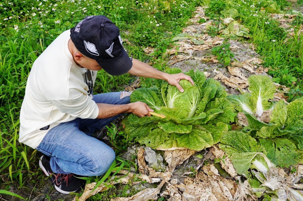 藍家友善農(nóng)場