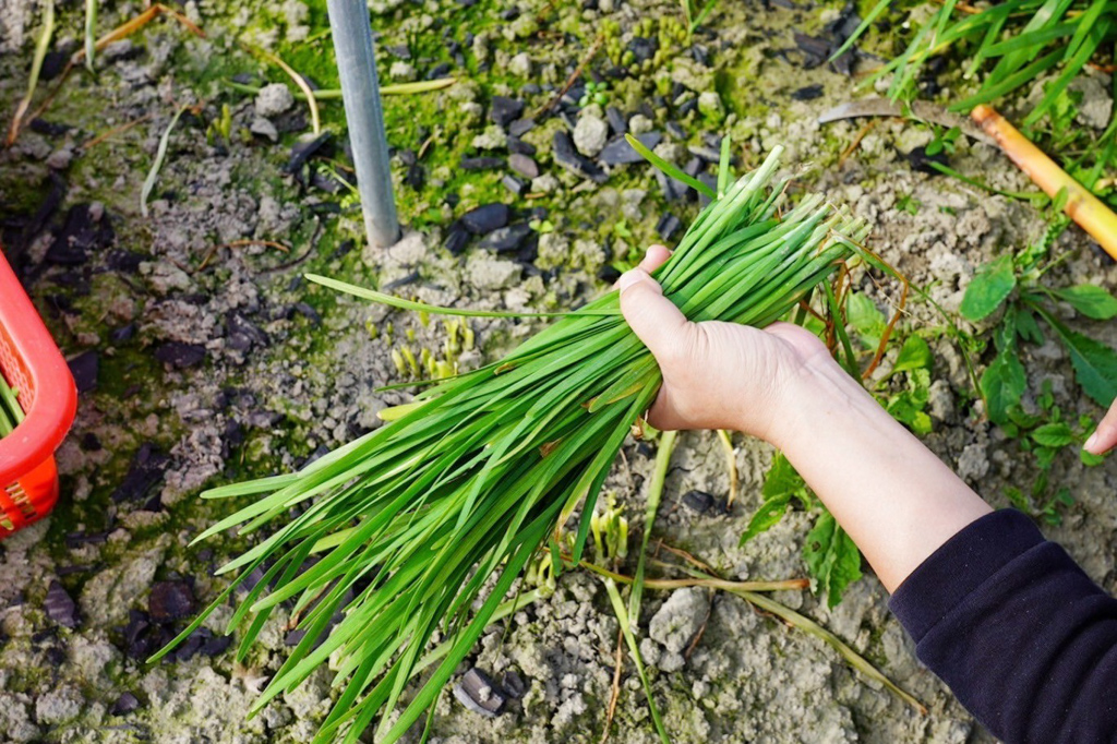 藍家友善農場