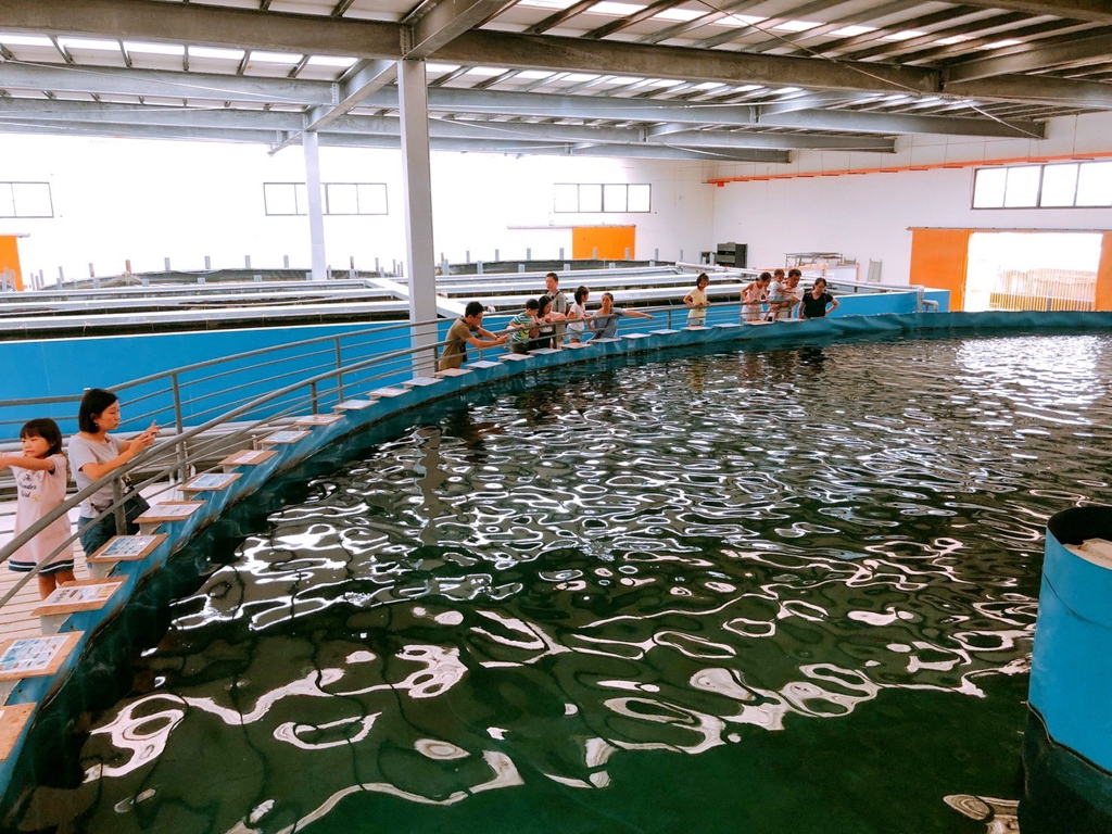 Herbelle龍潭湖悠活園區,免費景點,劉家早點,合鴨米灶腳,奇立丹宿?食?湯,宜蘭忍者村,宜蘭懶人包,宜蘭景點,山東饅頭,忠義香客大樓,拾松辦桌小吃,春水笈溫泉湯屋,東旅湯宿溫泉飯店,清珍早點,潭酵天地觀光工廠,猴洞坑瀑布,白水豆花,礁溪好玩,礁溪懶人包,礁溪早餐,礁溪泡湯,礁溪溫泉,礁溪香腸伯,福哥石窯雞,美慶湯屋,輕親魚朵生態園區,金車生技水產養殖研發中心,黑海時光粥