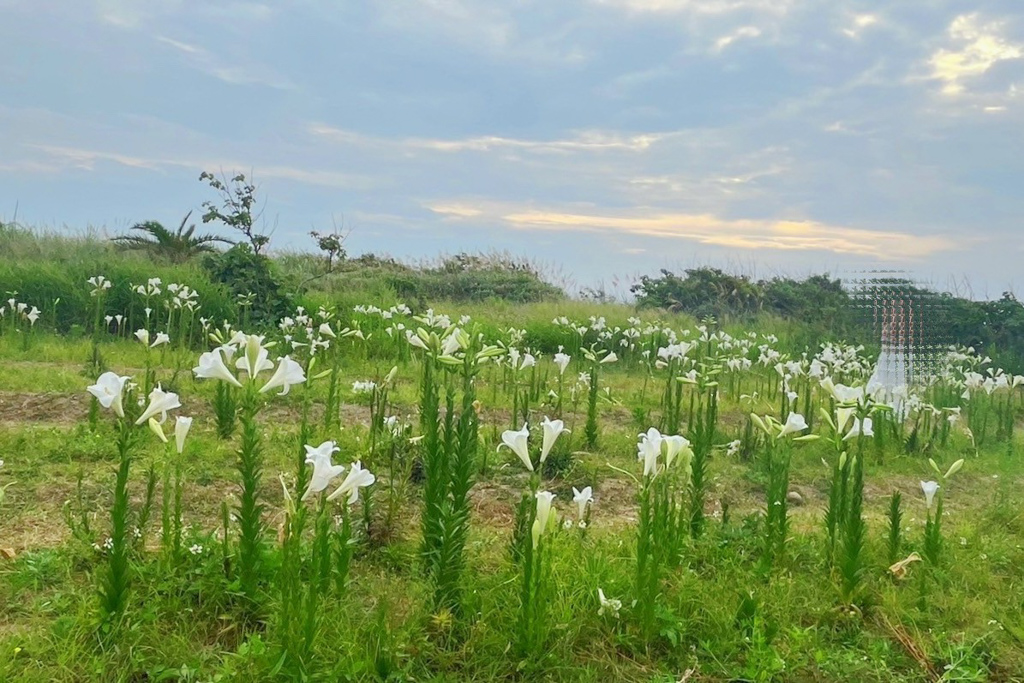 後龍好望角風(fēng)景區(qū)