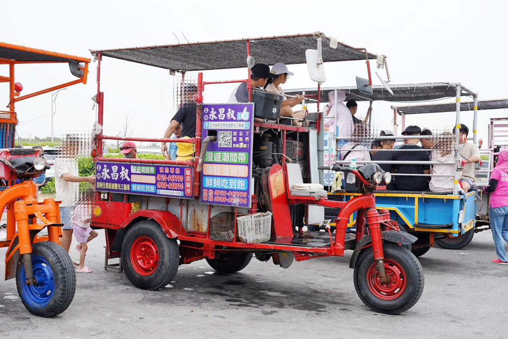 吃到飽,彰化吃到飽,彰化景點,旅遊觀光三輪車,潮間帶摸蛤蜊,王功好玩,王功採蚵仔,王功永昌叔採蚵,王功漁港,美食,蚵仔吃到飽,親子好玩,親子景點