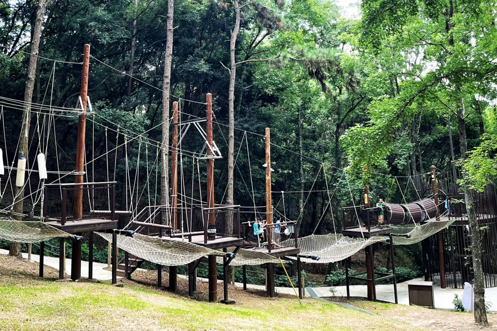 臺中好玩,臺中景點,東勢好玩,東勢景點,東勢林場遊樂區,甲蟲,親子景點